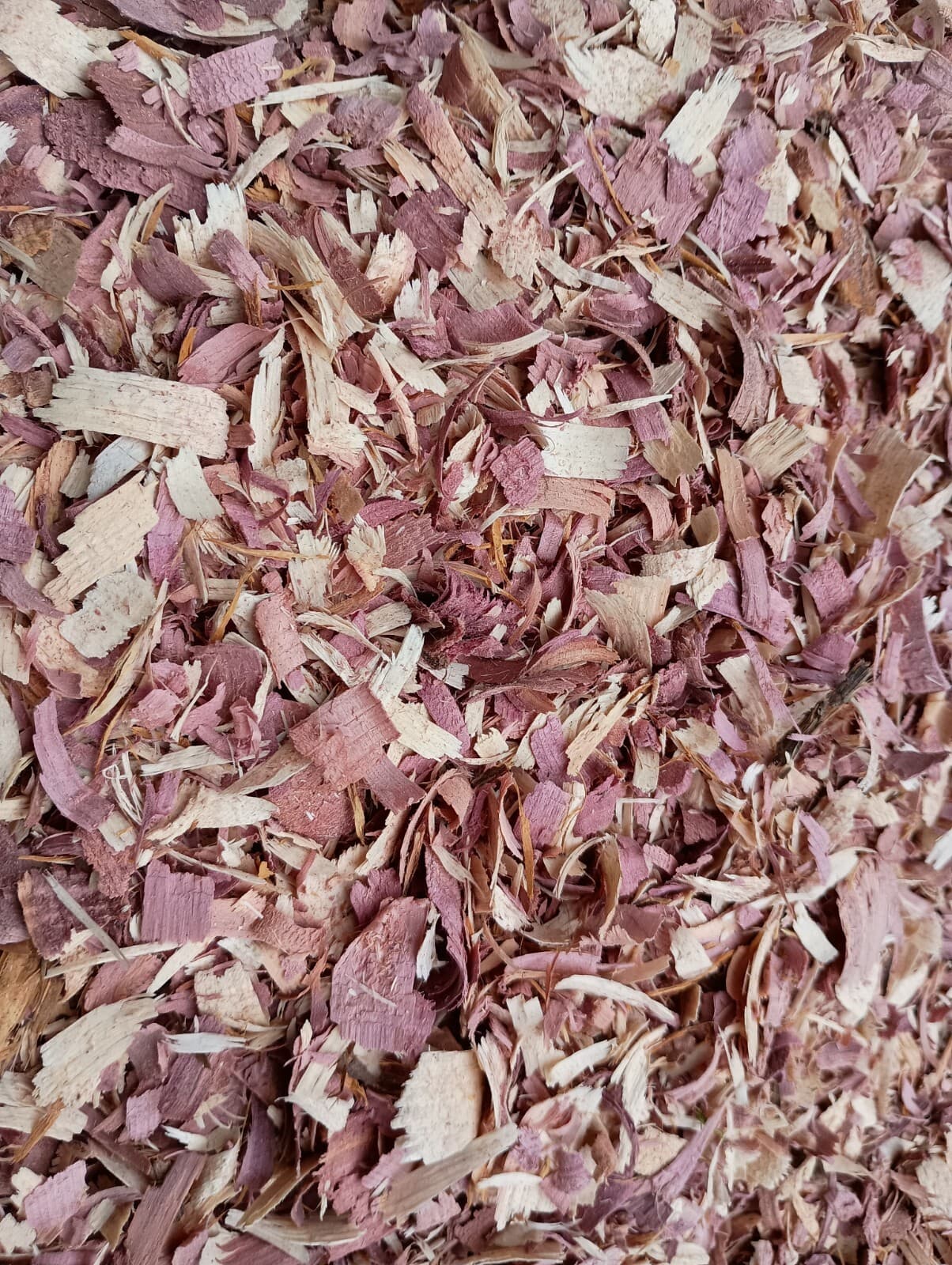 Red Cedar Shavings Pet Bedding Fresh Dry Natural MULTIPLE SIZES
