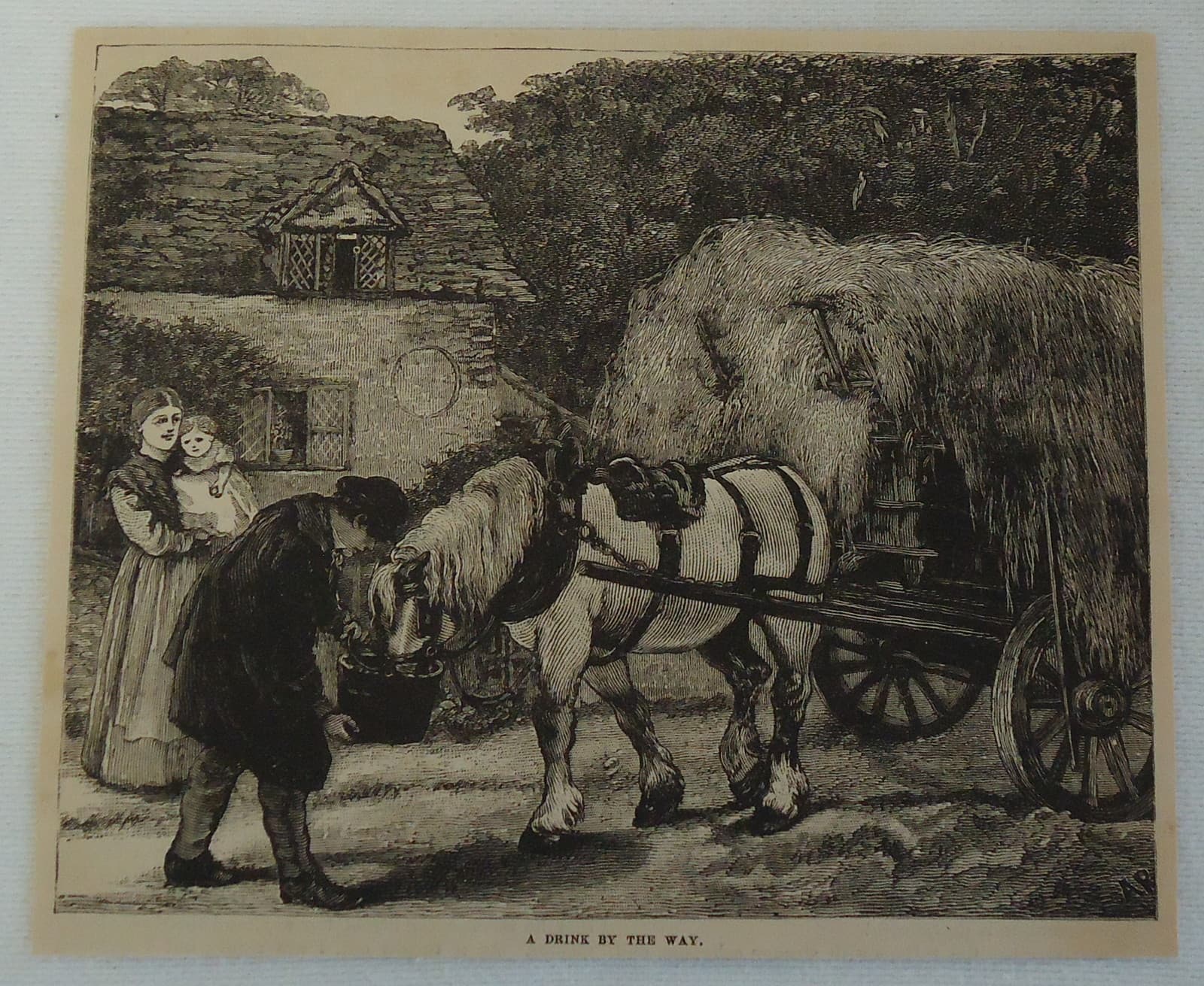 1882 magazine engraving ~ HORSE PULLING WAGON OF HAY & DRINKING WATER
