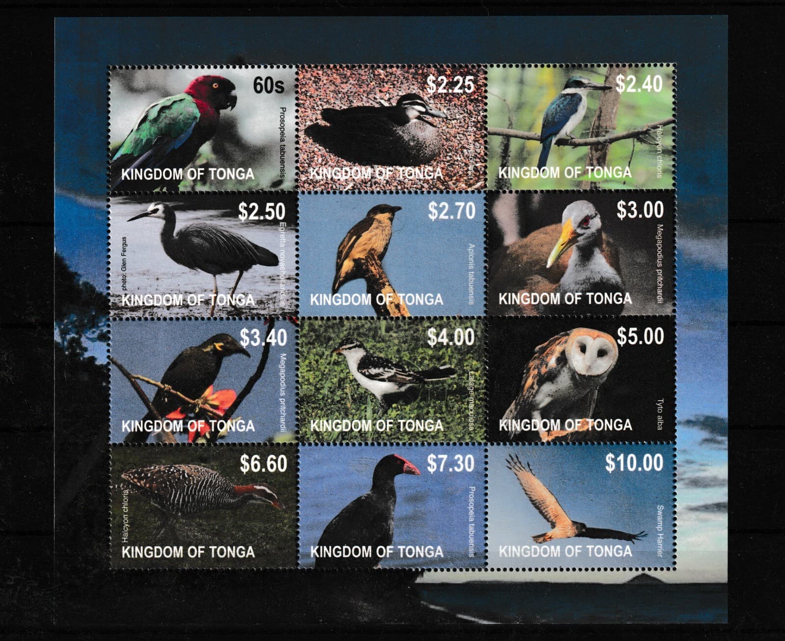 DEC-TONGA MNH SOUV. SHEET SC#1170 BIRDS SCV$60.00