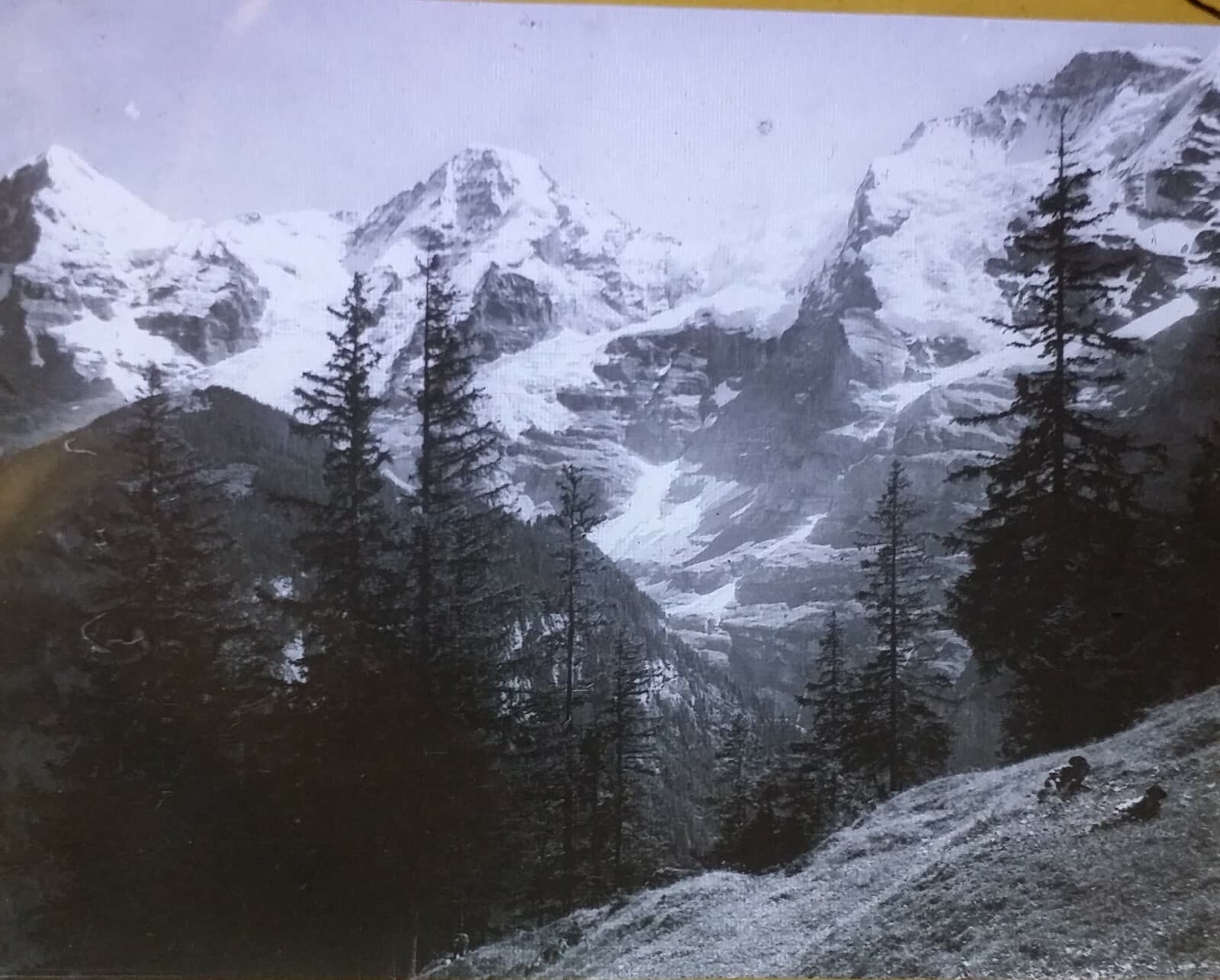 Eiger, Mönch Jungfrau, Switzerland, From Mürren Road, Magic Lantern Glass Slide