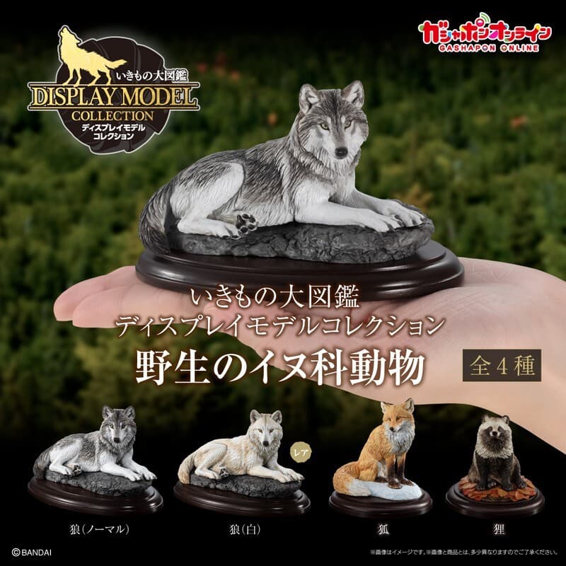 Bandai Display canine wild dog set of 4 red fox raccoon dog gray wolf white wolf
