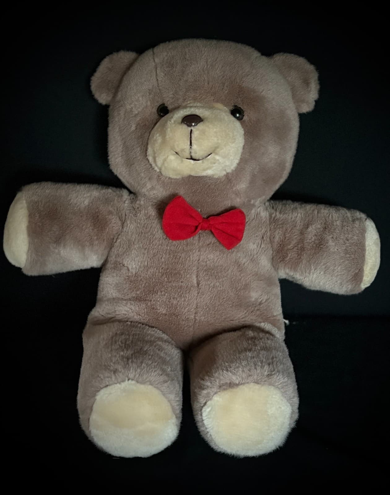 Haunted Large Vintage Bear 20" - Boy, PAUL, Age 10 ~ACTIVE~ Likes Toy Trucks