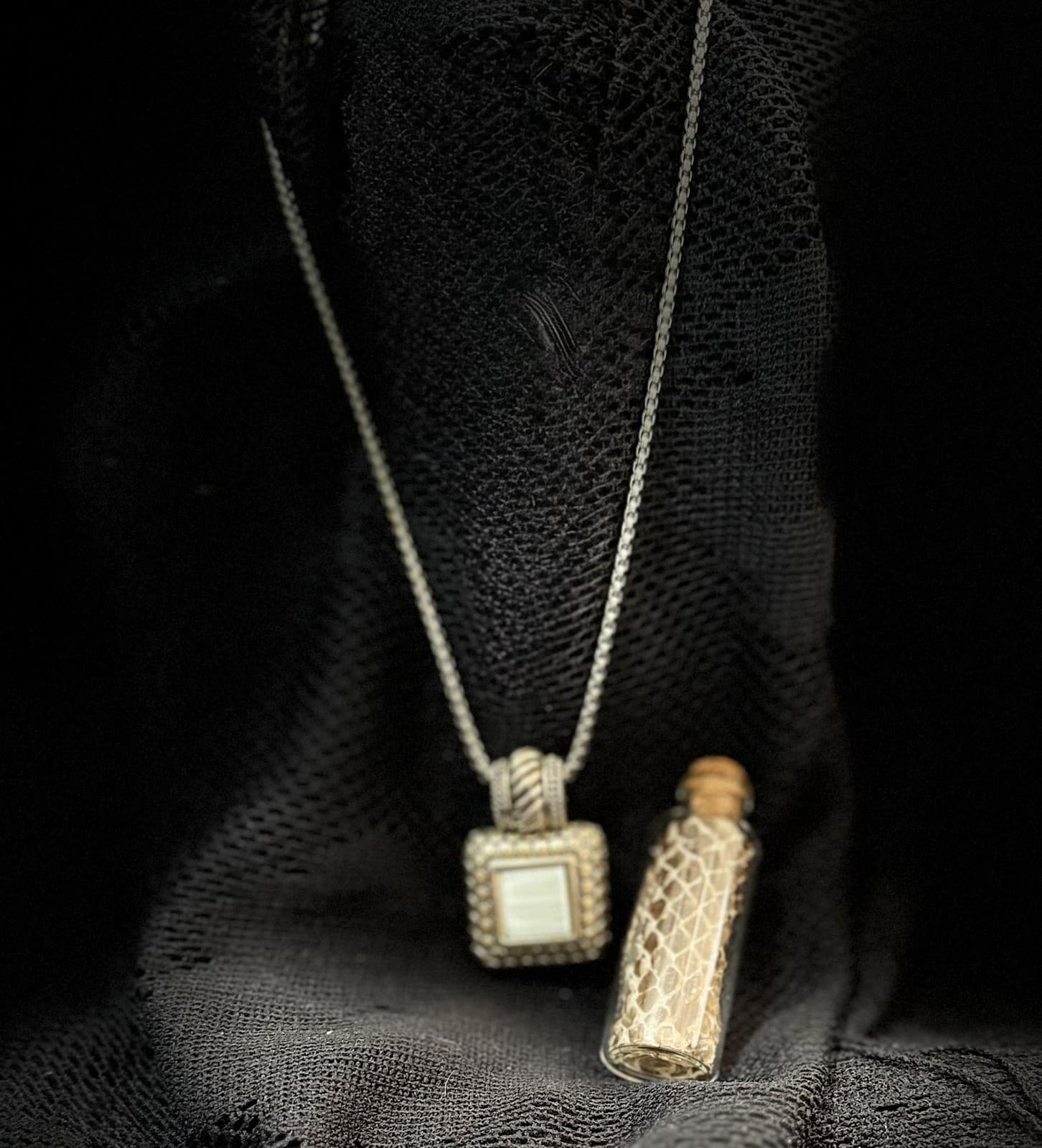 Haunted Vessel Talisman Serpent Dual-Aspect Relic Shed What/Who No Longer Serve