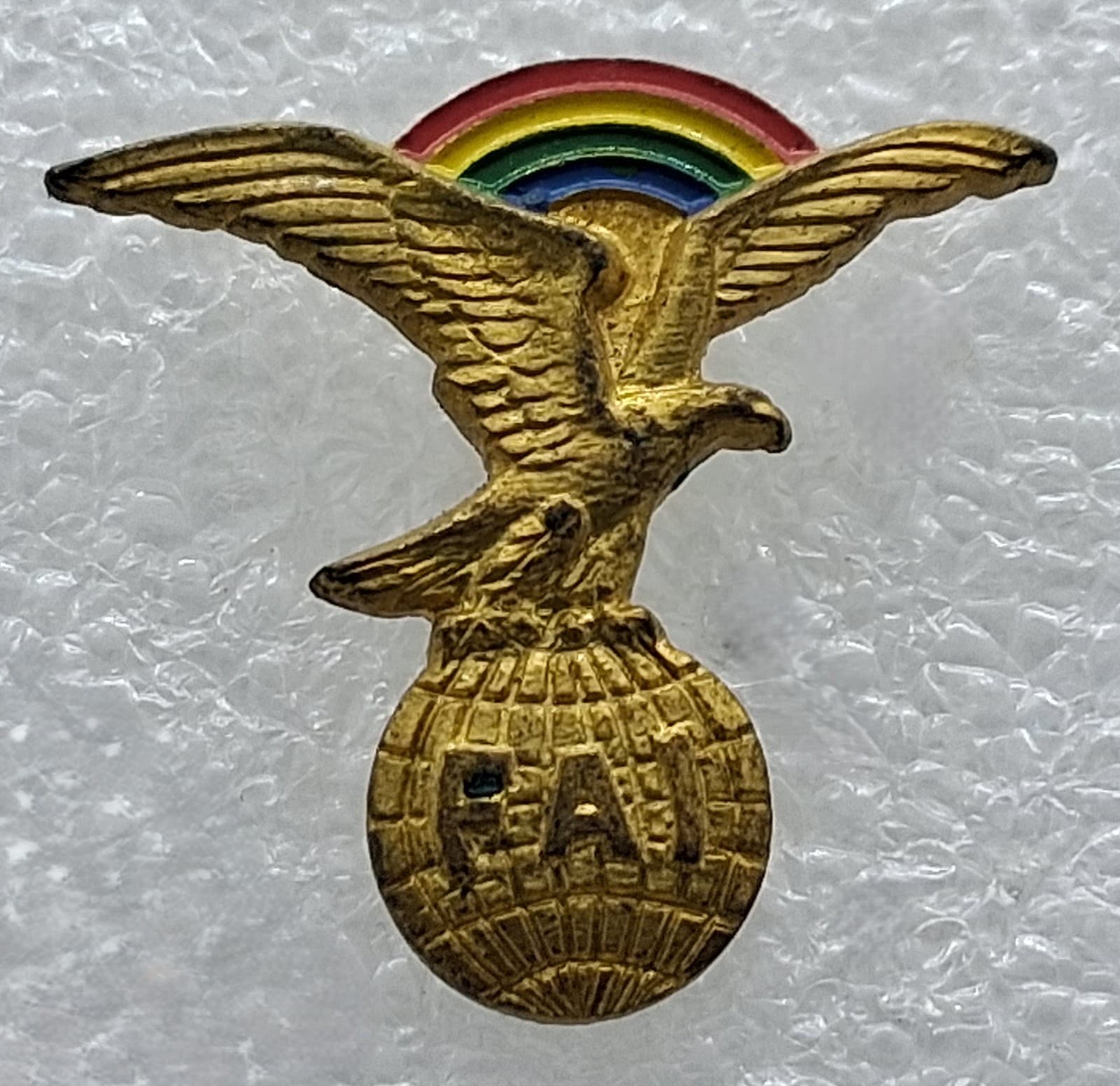 Federation Aeronautique Internationale Pin ( World Air Sports Federation )