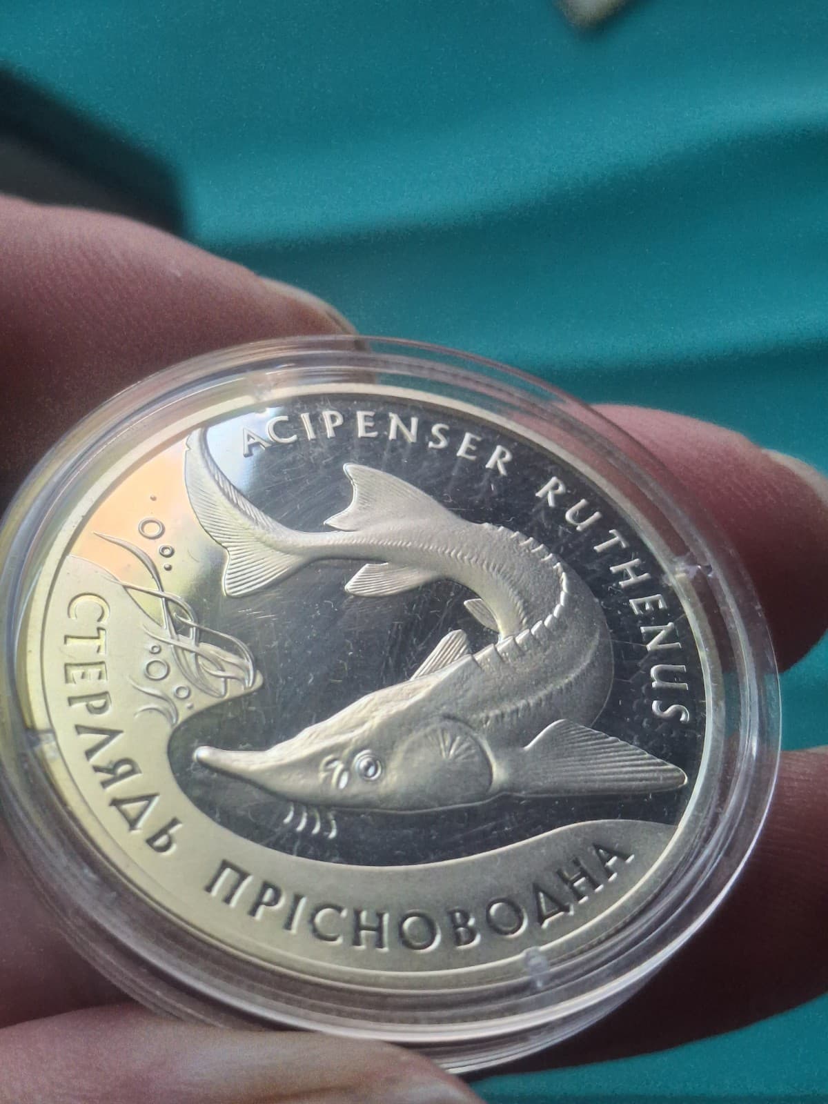 2012 UKARINE 10 Hryven Sterlet Sturgeon Fish Sterling Silver Proof Coin