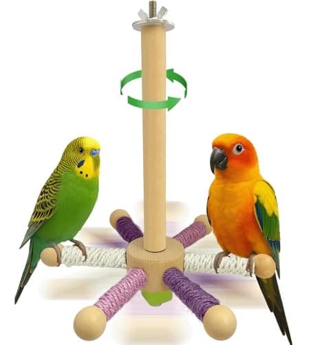 Bird Perch Toy, Parrot 360° Rotating Stand Perch, Wooden Interactive White