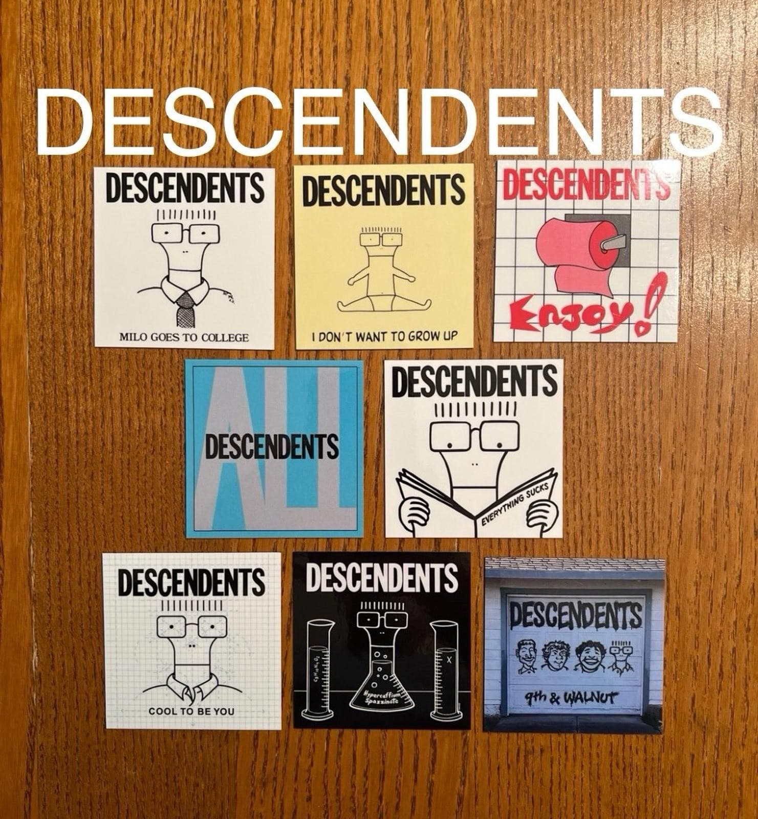 Descendents fridge magnets