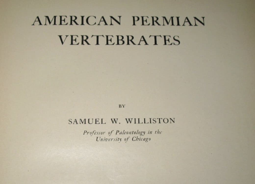 American Permian Vertebrates Williston 1911 Original HB Book excellent fossils
