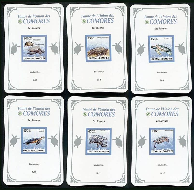 LY464 2009 COMOROS TURTLES REPTILES MARINE LIFE SILVER ! CARDBOARD 6BL MNH
