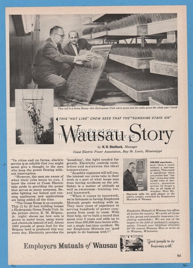 1960 Coast Electric Power Association Bay St Louis MS HH Shattuck Grass House ad