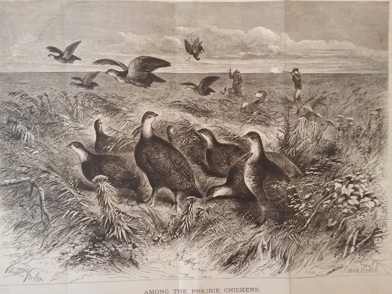 Circa 1870 Litho "Among the Prairie Chickens" Accompaniment Appleton Journal