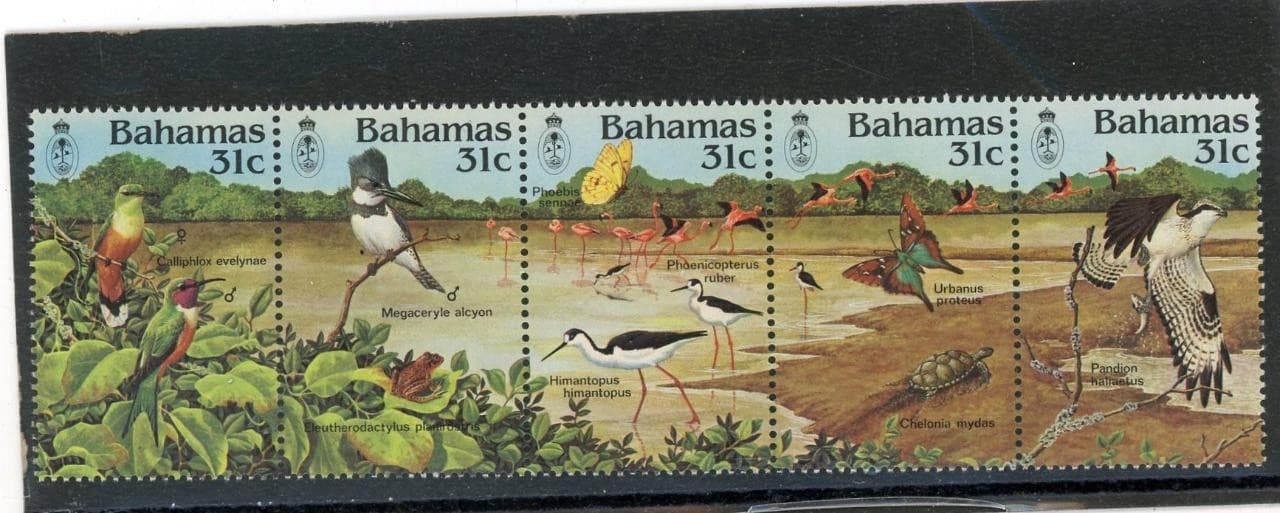 Bahamas 1984 Birds Scott# 568 Mint NH