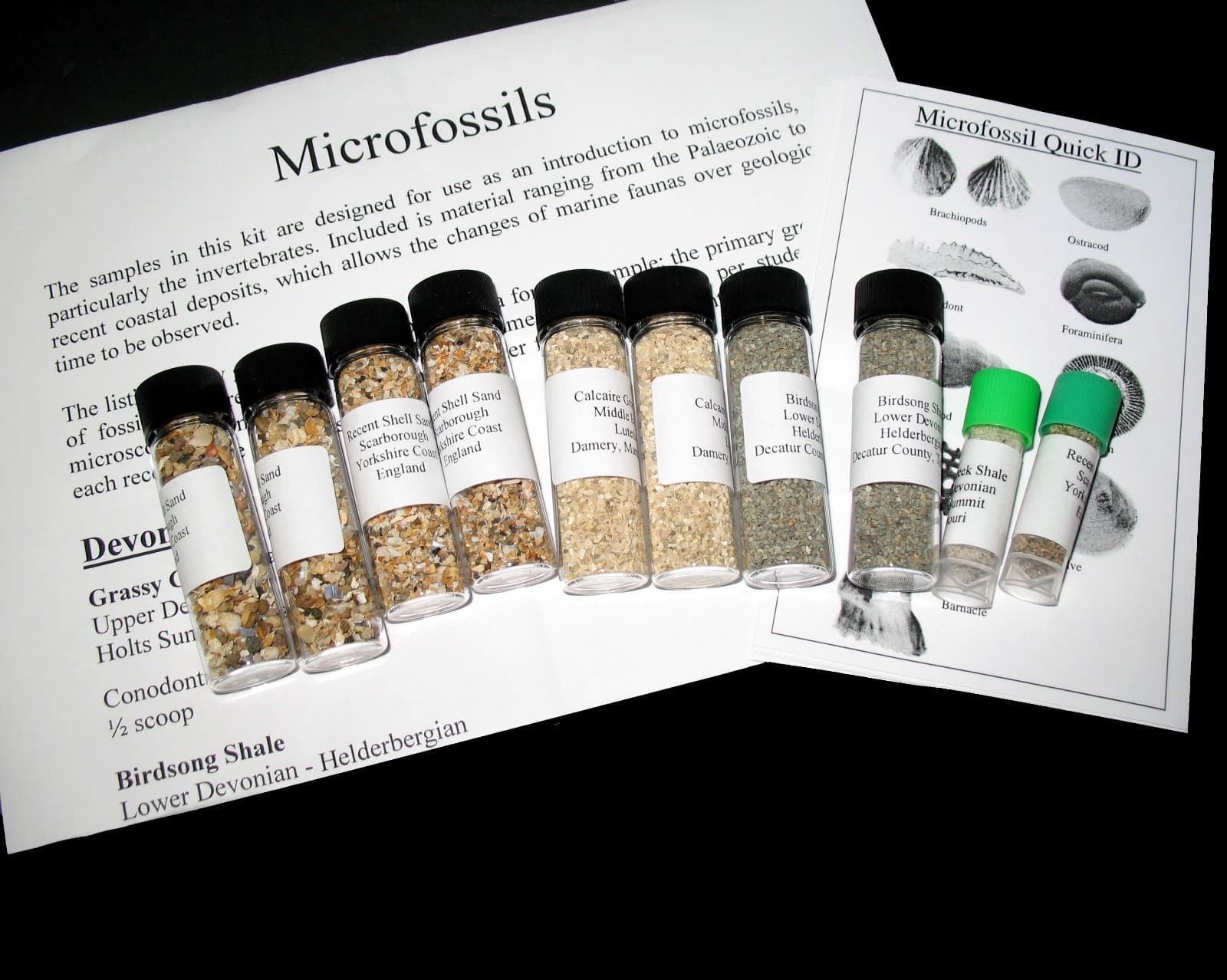 Introduction to Micro fossils teacher kit ~30 students microscope teaching