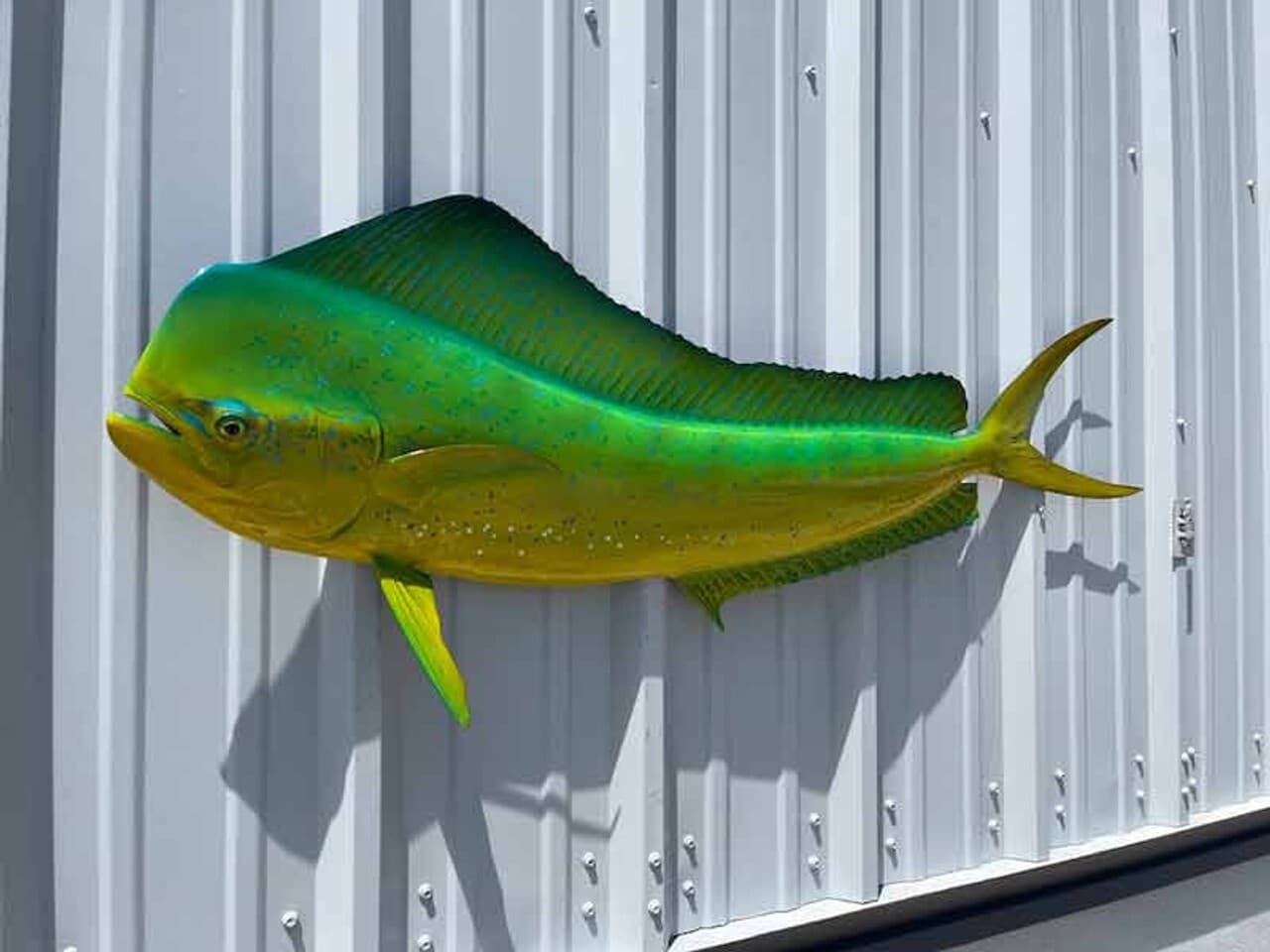 53" Bull Dolphin "Green Hornet" Half Mount - In Stock & Ready to Ship
