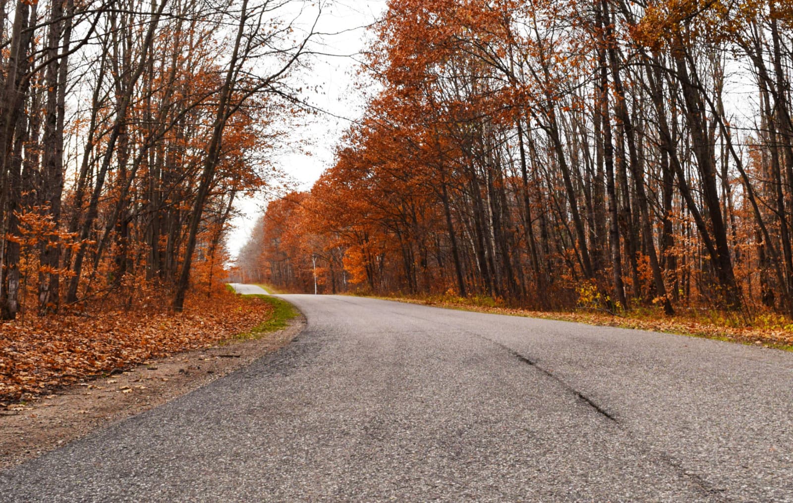 Mancelona Antrim County Michigan Payments Available Vacant Land Lot - .8 Acres