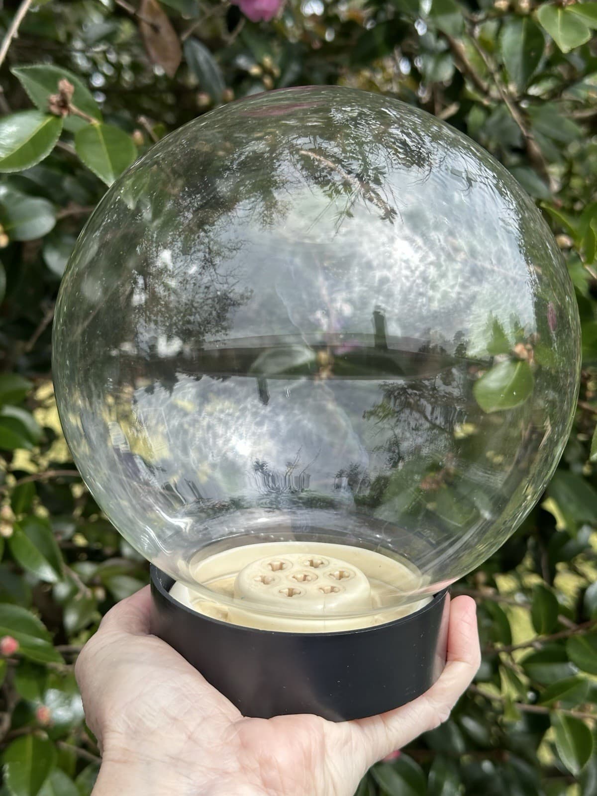 VTG Glass Sphere Round Cloche Ball Flower Frog Mid Century Terrarium Germany