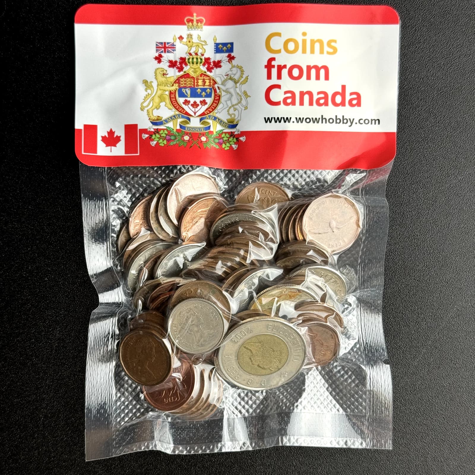 Canadian Coin Collection Lot, 50 Random Coins from Canada 🇨🇦