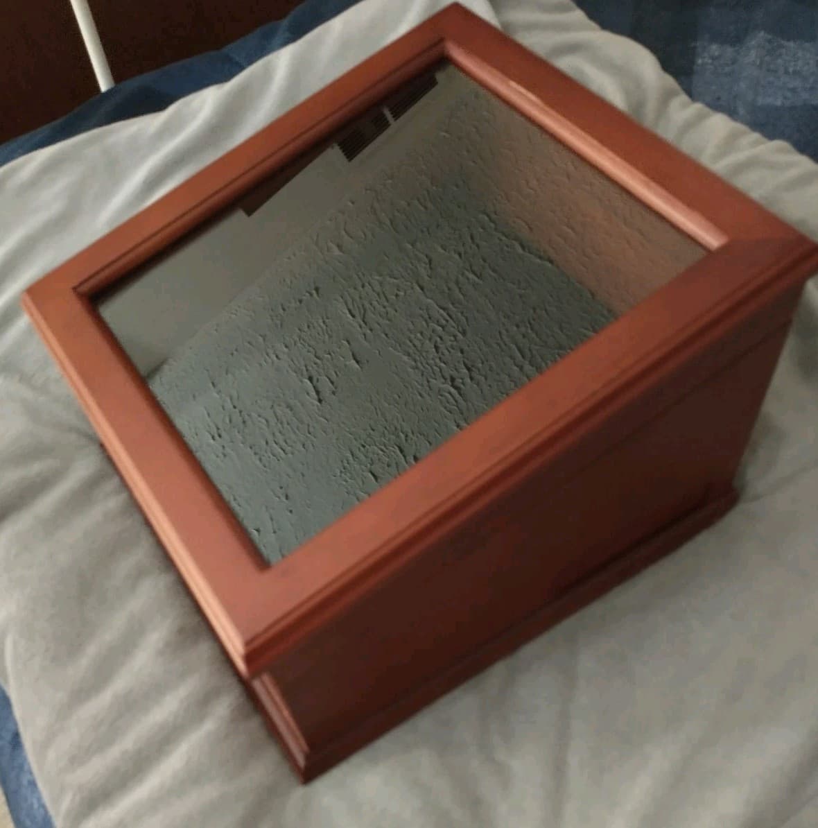 Large Coin/ Currency Display Case Wood/Glass Lid Nice**