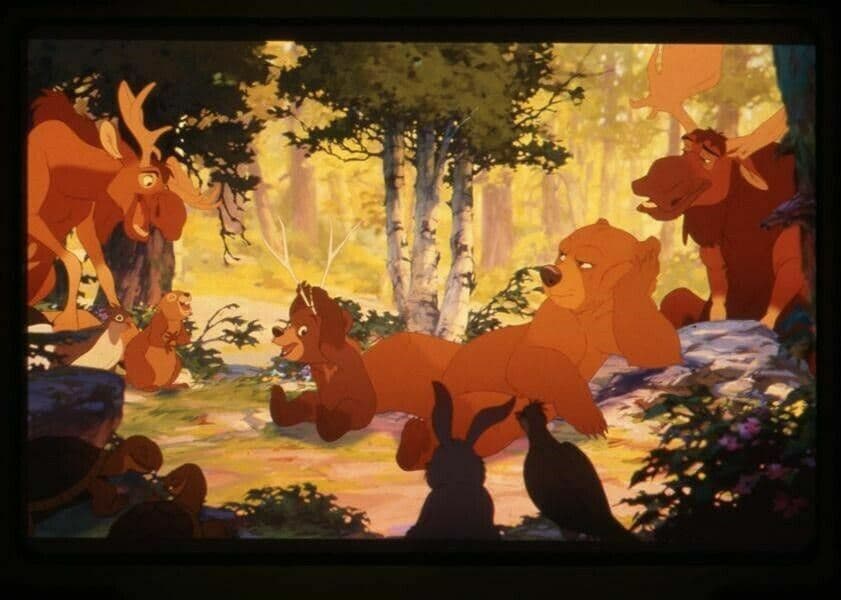 Brother Bear Walt Disney Animation Original 35mm Transparency in stamped mount