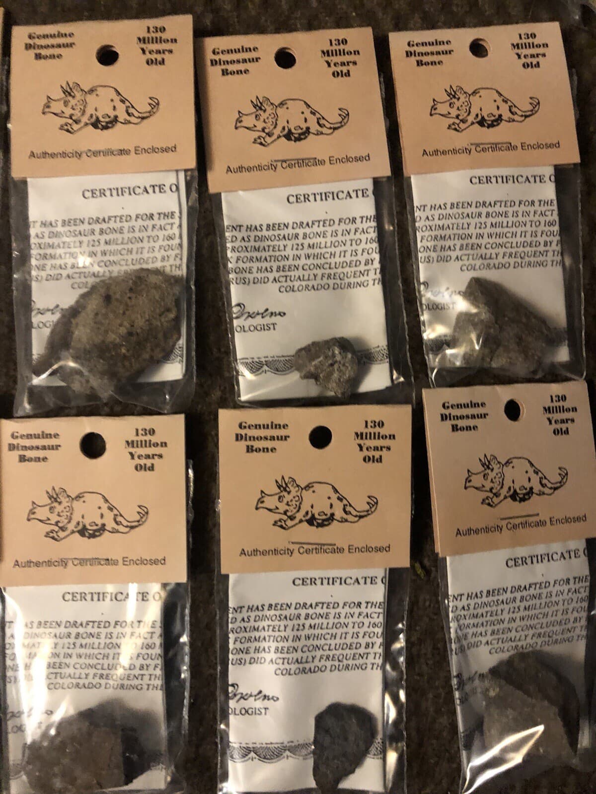 GENUINE DINOSAUR BONE SPECIMEN AUTHENTICITY CERTIFIED Collectors Fossil