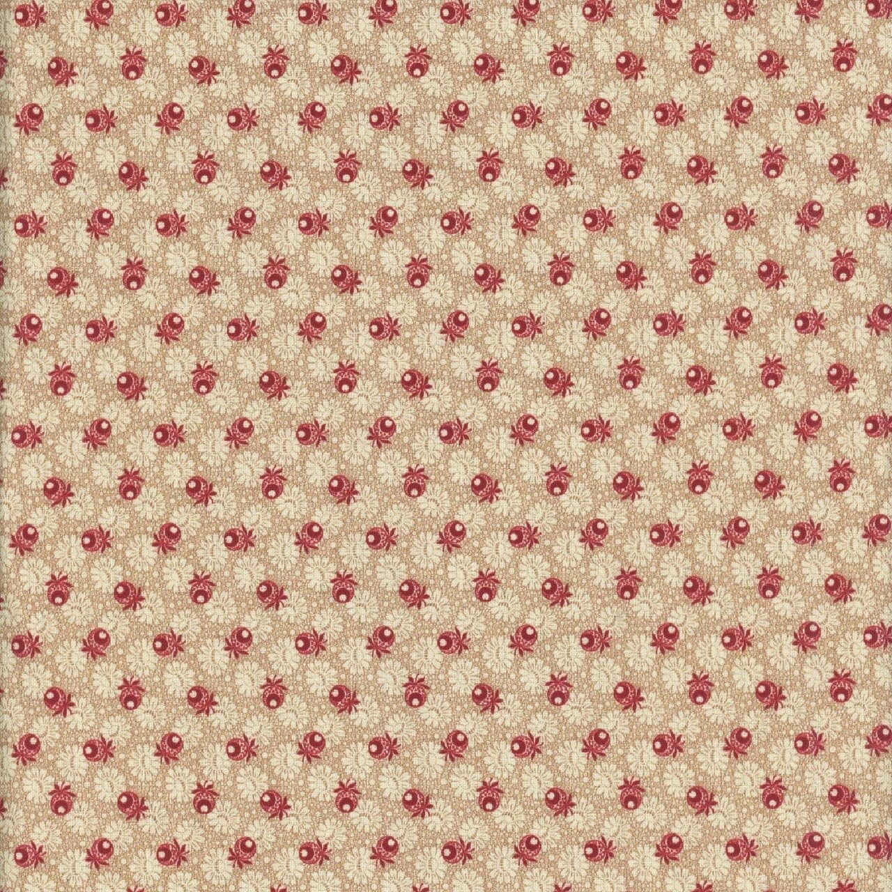 Cotton Fabric 1800s Civil War Repro J Rothermel DRESSING GOWNS Red Marcus FQ