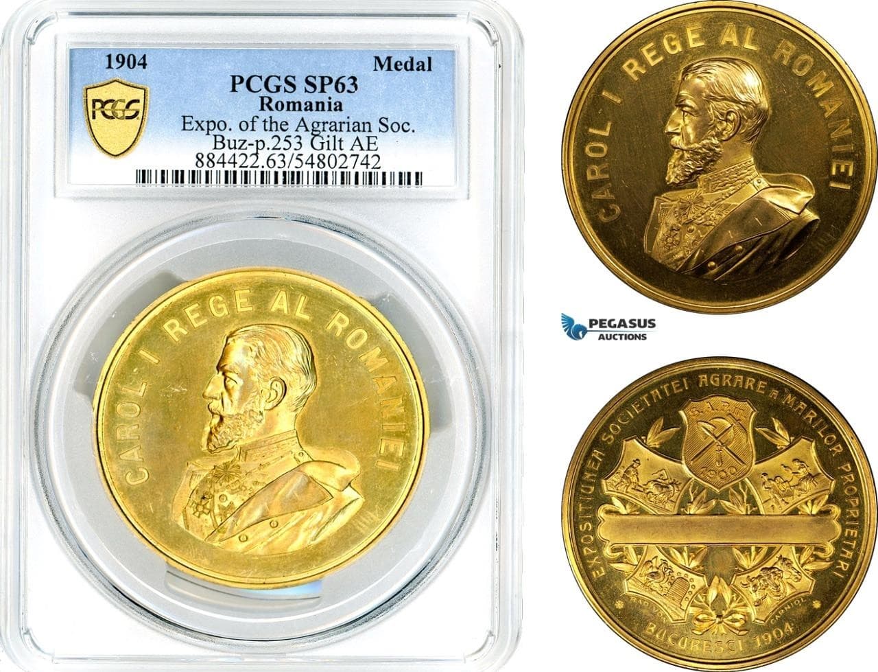 AK924, Romania, Carol I, 1904 Gilt Bronze Medal, Agricultural Society Exhibition