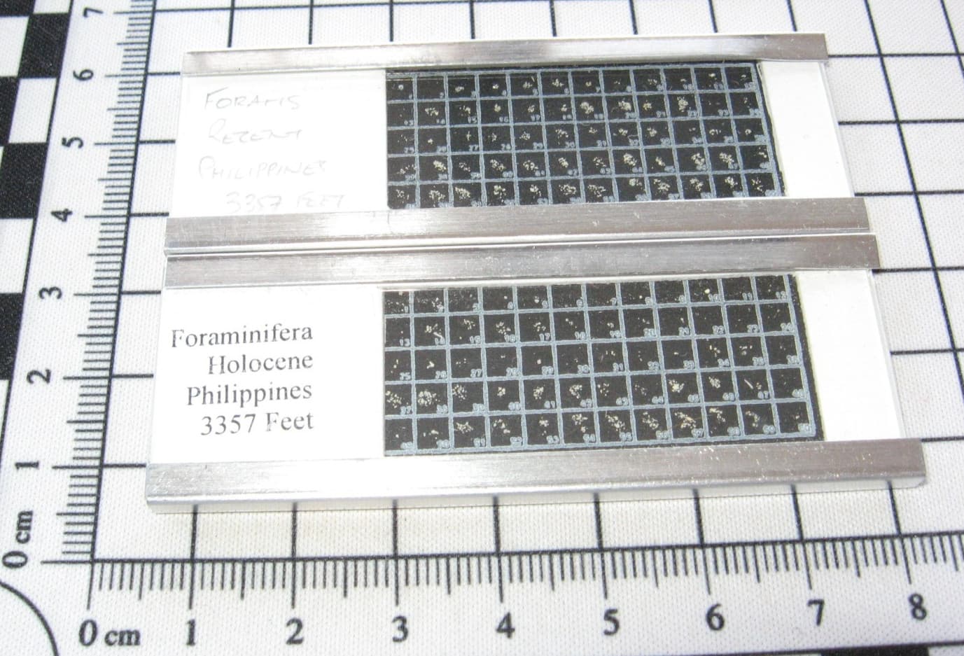 Recent Philippines 3357 ft microfossil fossil foraminifera slide mount