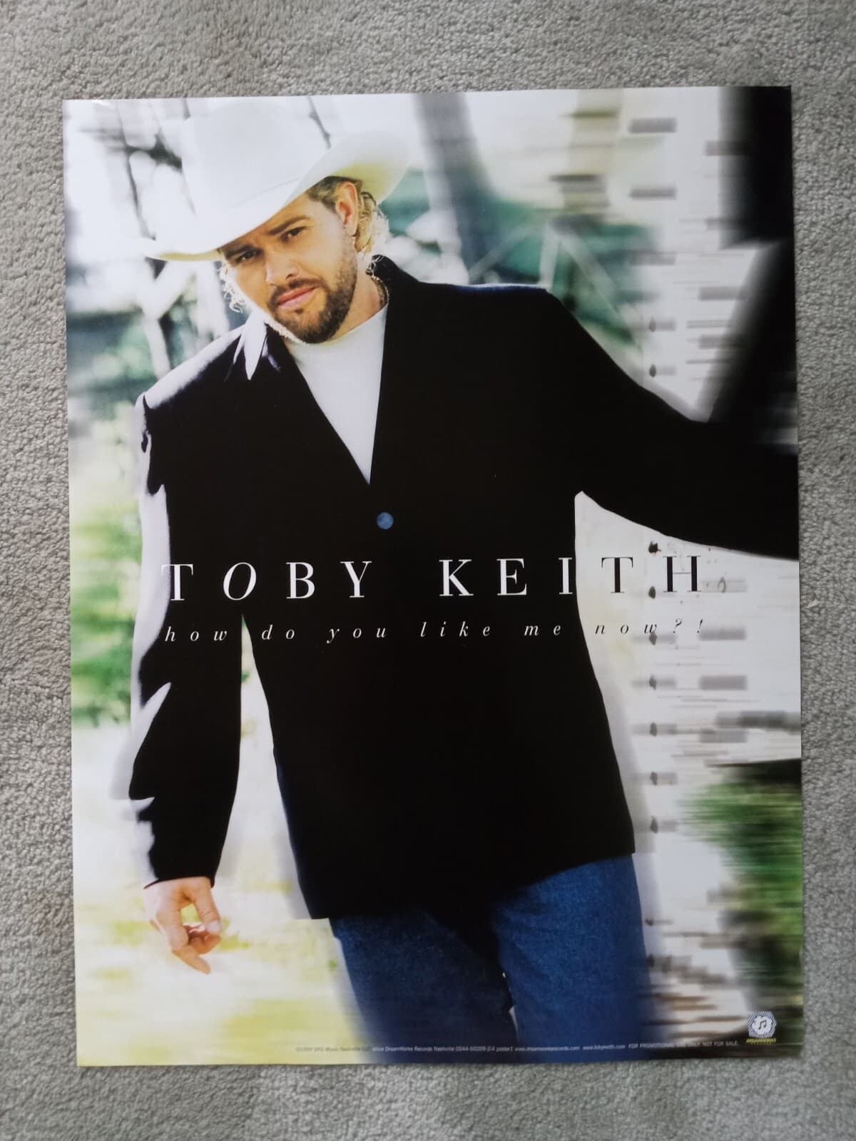 Promo poster TOBY KEITH - How Do You Like Me Now (1999 SKG)
