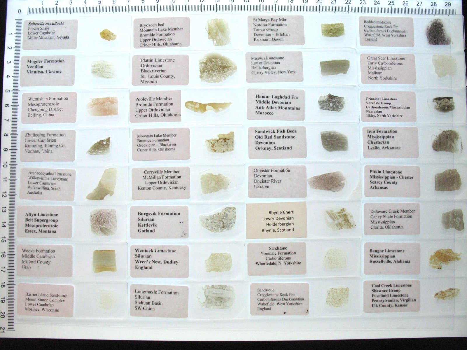 Geological Rock Formation 50 Thin Section Slides Precambrian to Miocene fossils