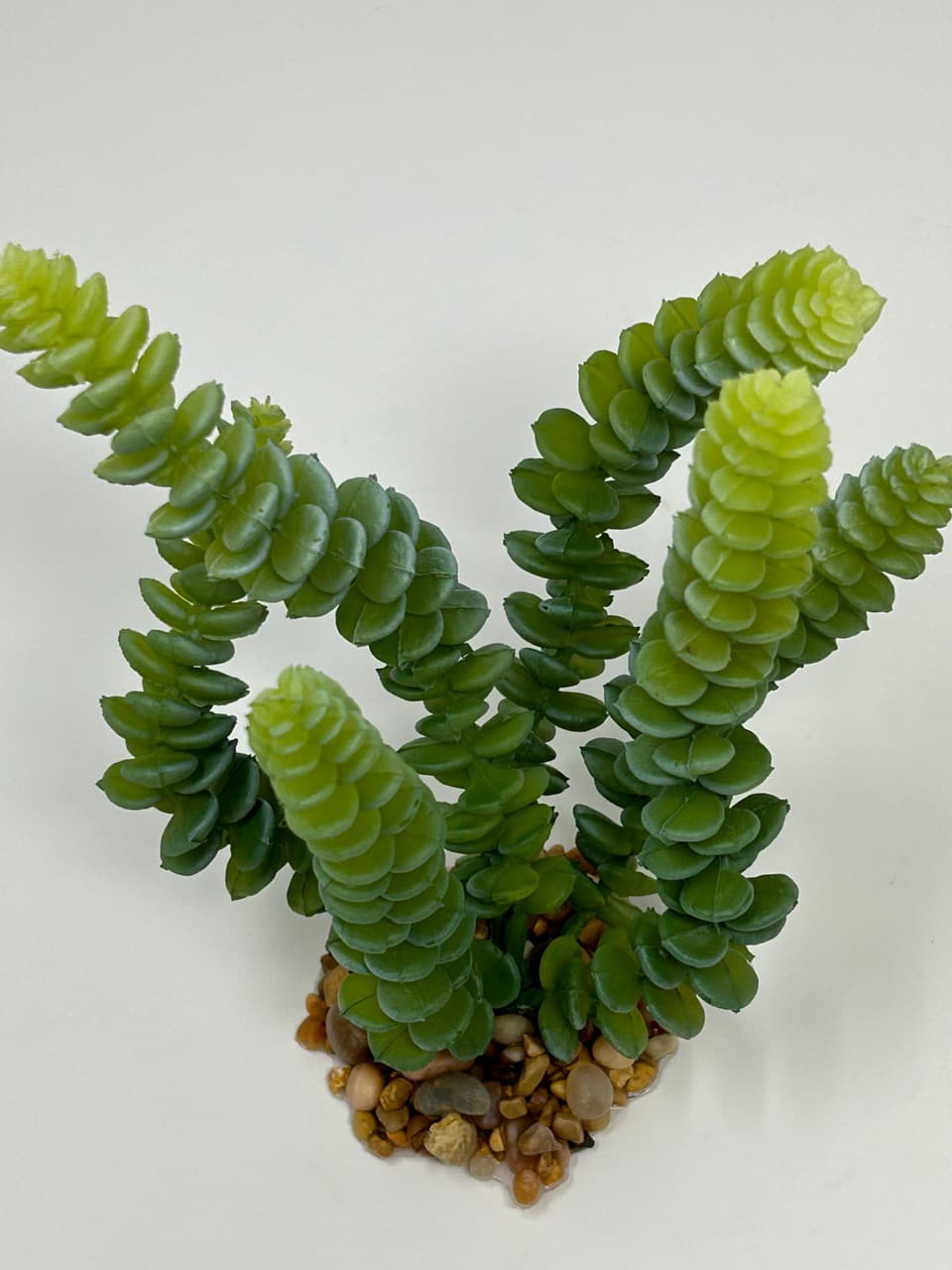 7" Gray-Green DONKEY Burro TAIL Sedum Succulent Aquarium or Dry Habitat soft pla