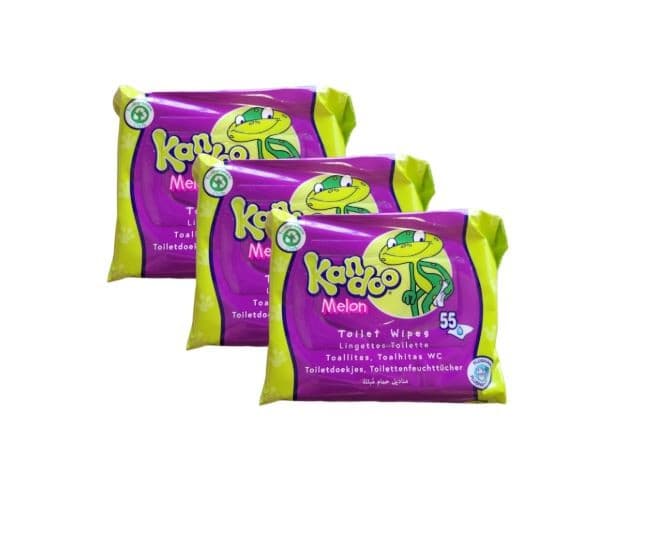 Kandoo Melon Flushable Toilet Wipes 55 Sheets Pack of 3 Kids Friendly