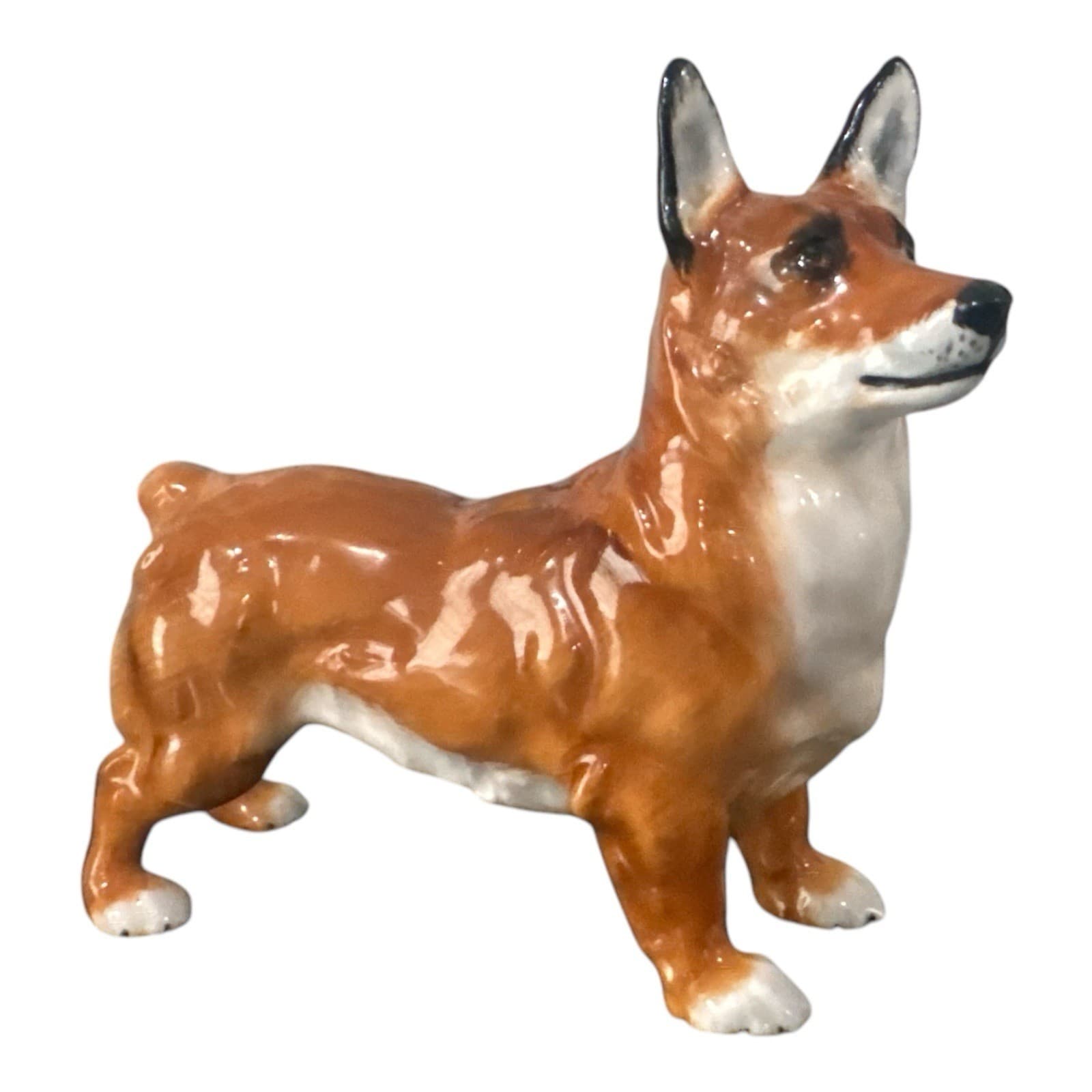 Royal Doulton Welsh Corgi figurine HN2559 Excellent Condition 3.5”x4.5”