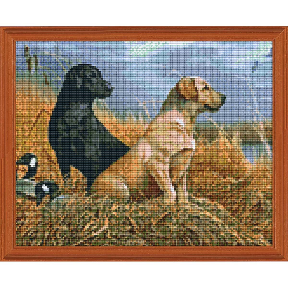 PixelHobby Friends in the Field Kit & Frame Mosaic Art Kit