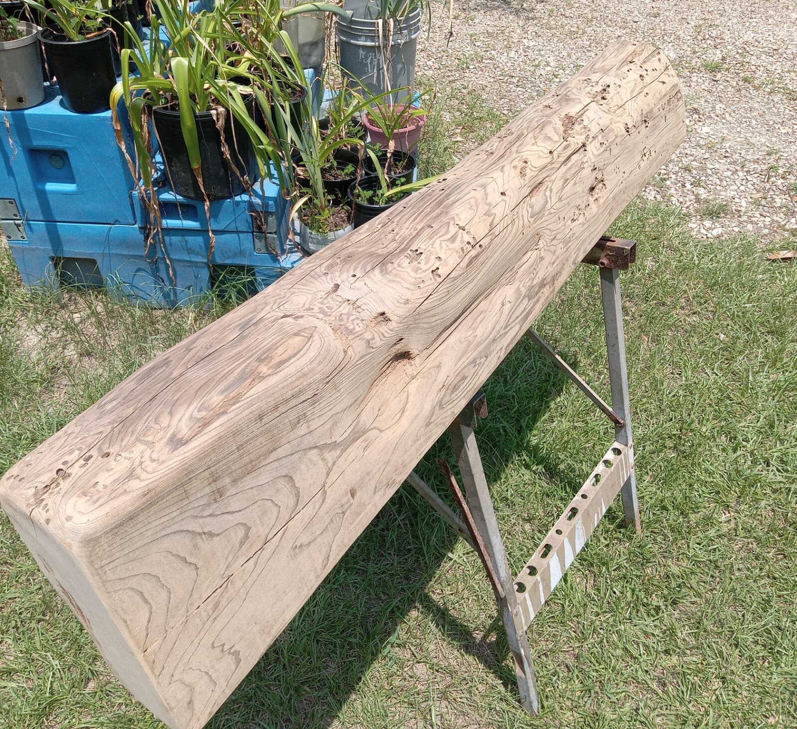 8"X5"X53" Carbon Dated to 1300 AD Old Growth Sinker Cypress Rift Cut Wood Mantel