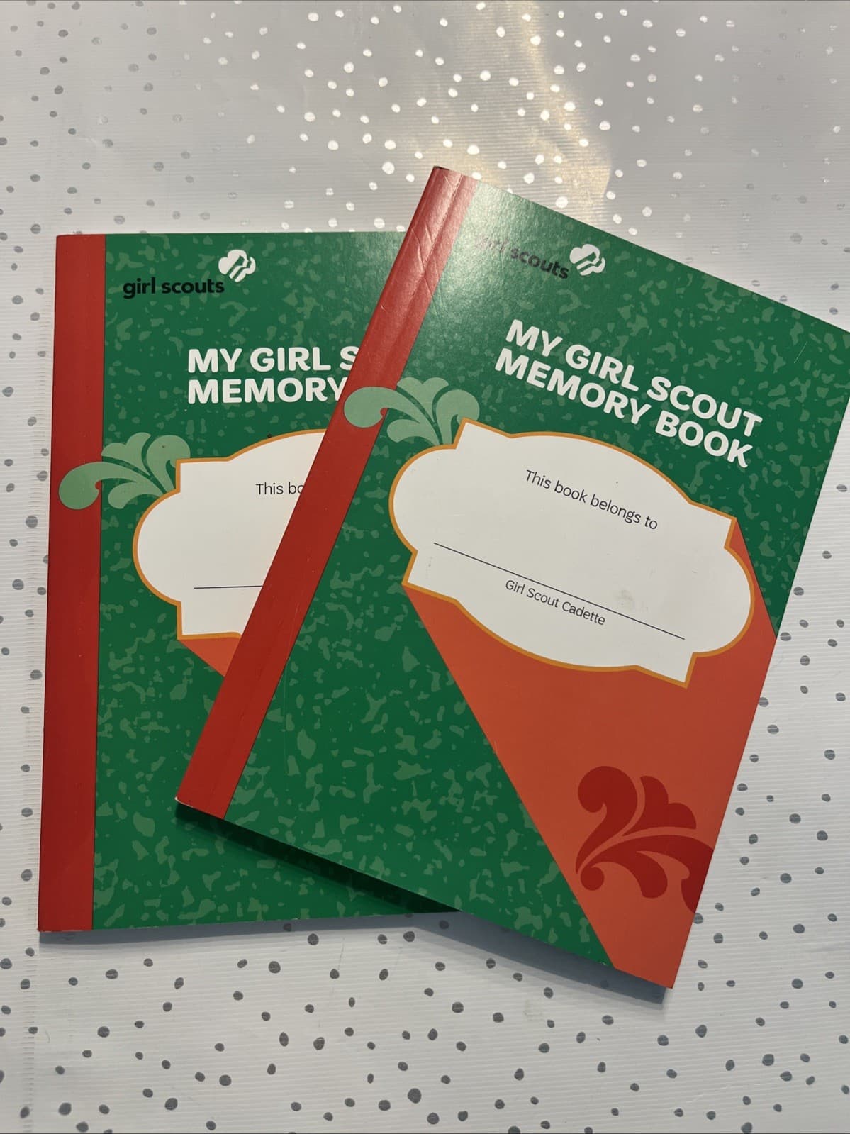 Girl Scout Cadette Memory Book