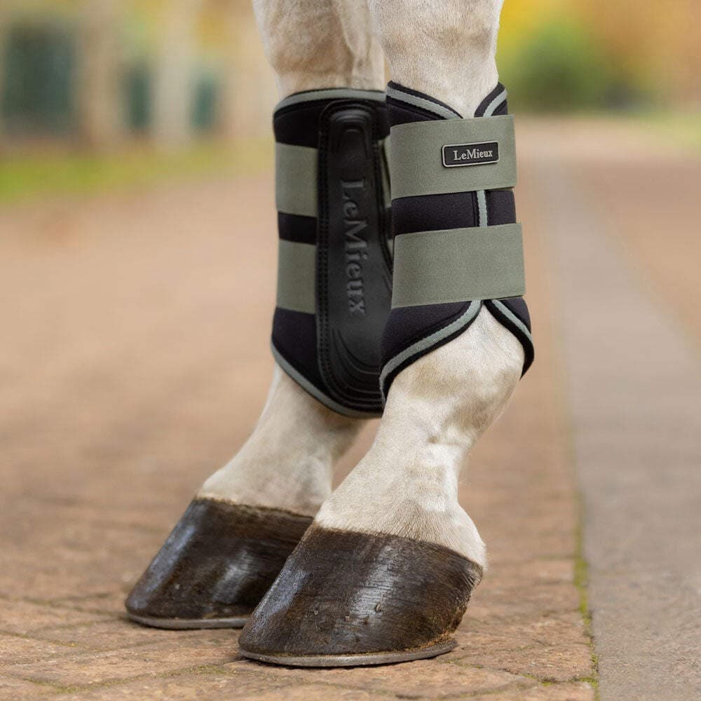 IT07008 LeMieux Grafter Brushing Boots - Rosemary NEW