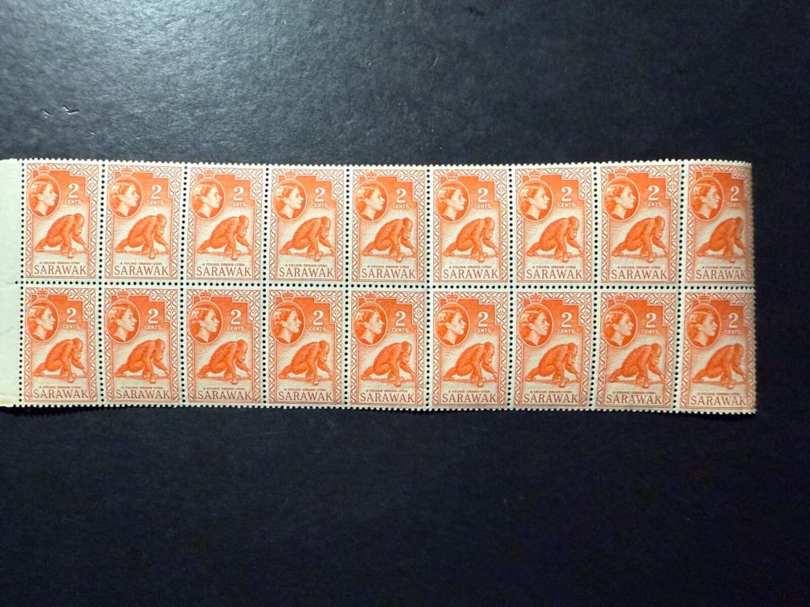 Sarawak 1955 2c Orangutan SG189 MNH block of 18