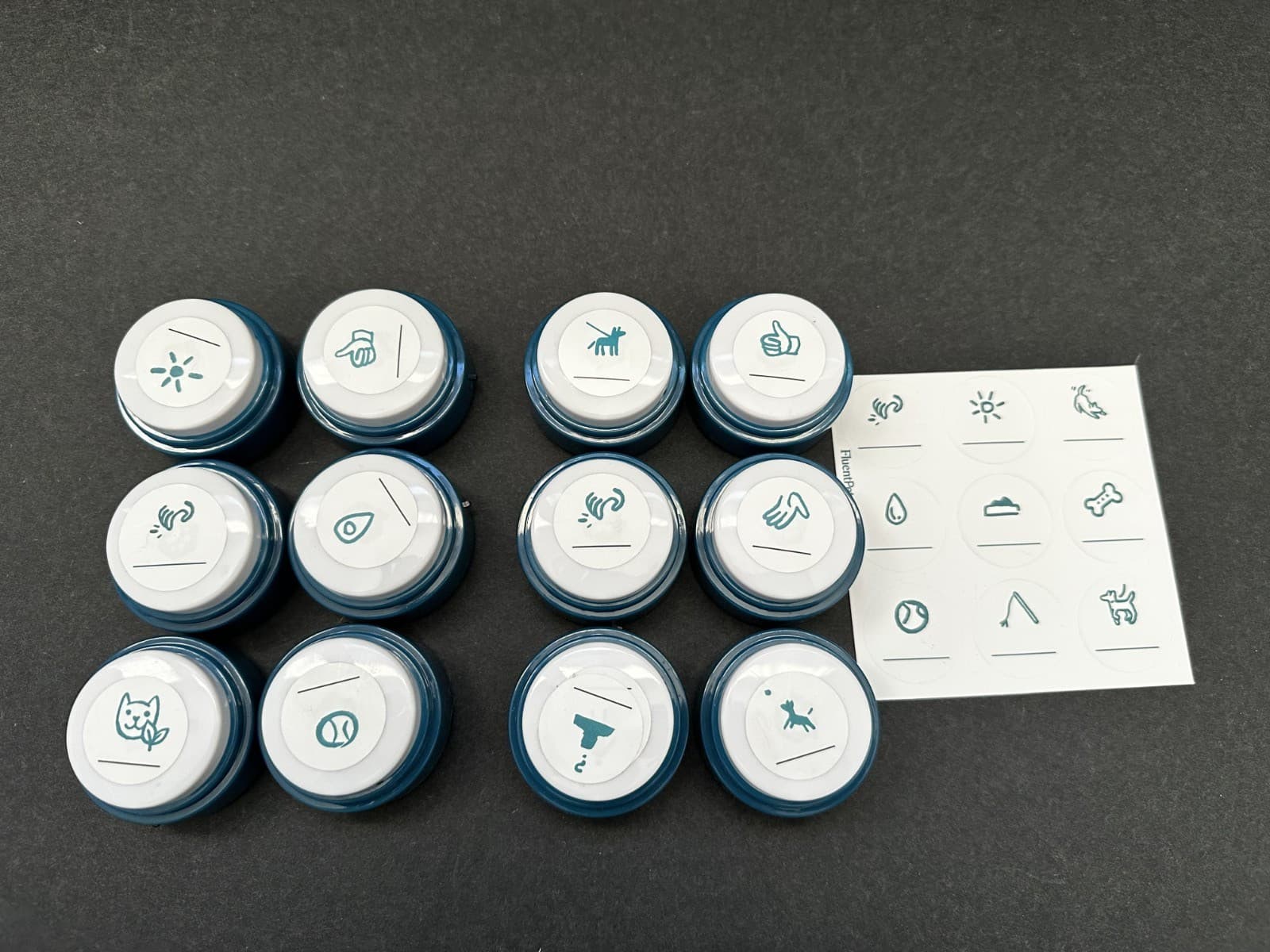 FluentPet Basic Buttons - Set of 12 - Open Box - Recordable - Used