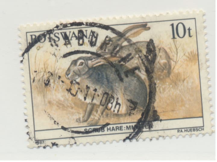 Botswana Stamp Scott #411, Used