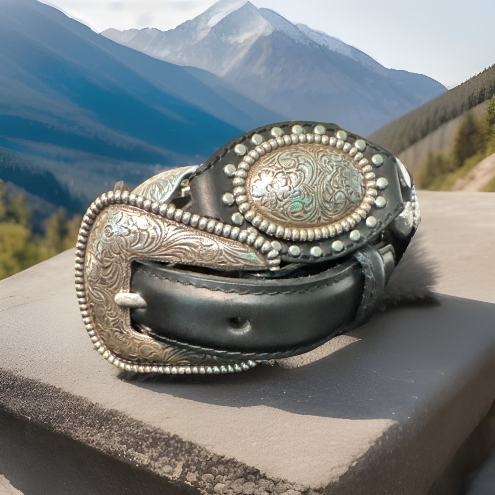 Justin Belt WILD WEST LINK Size 25-26 NWT List $64 927BK Rare Find!