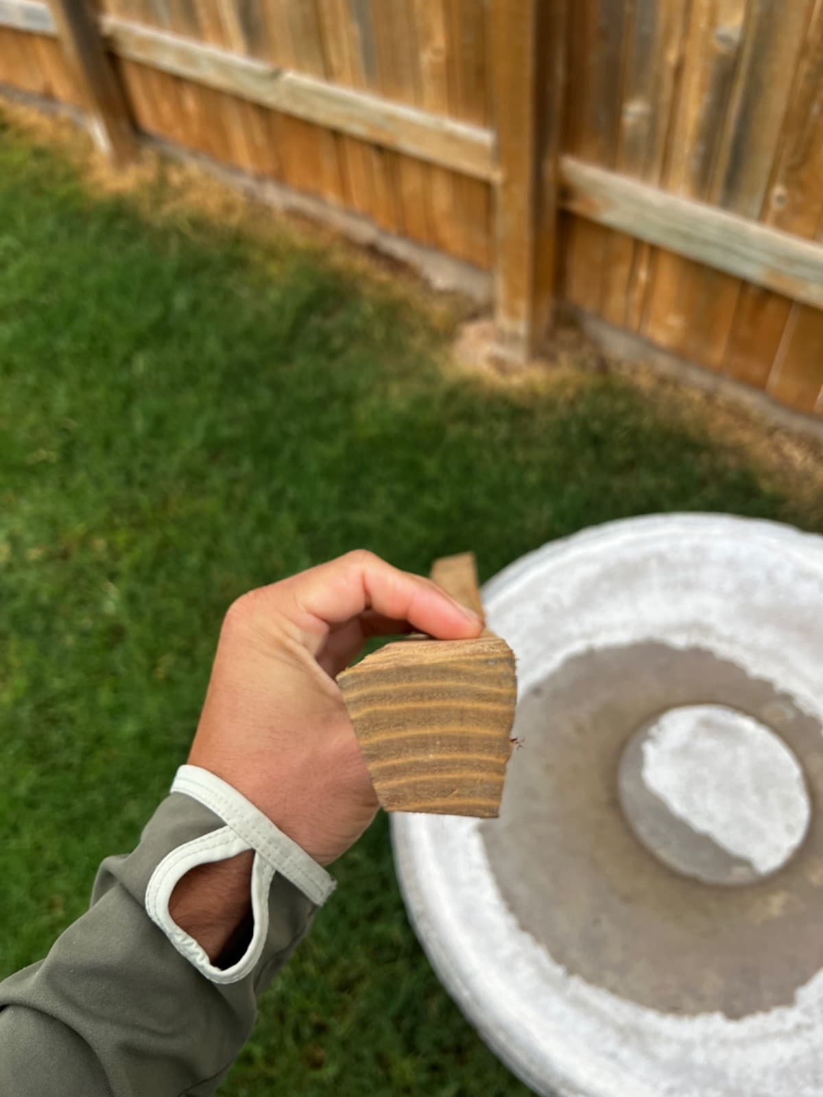 Premium SEASONED Osage Orange Bow Stave