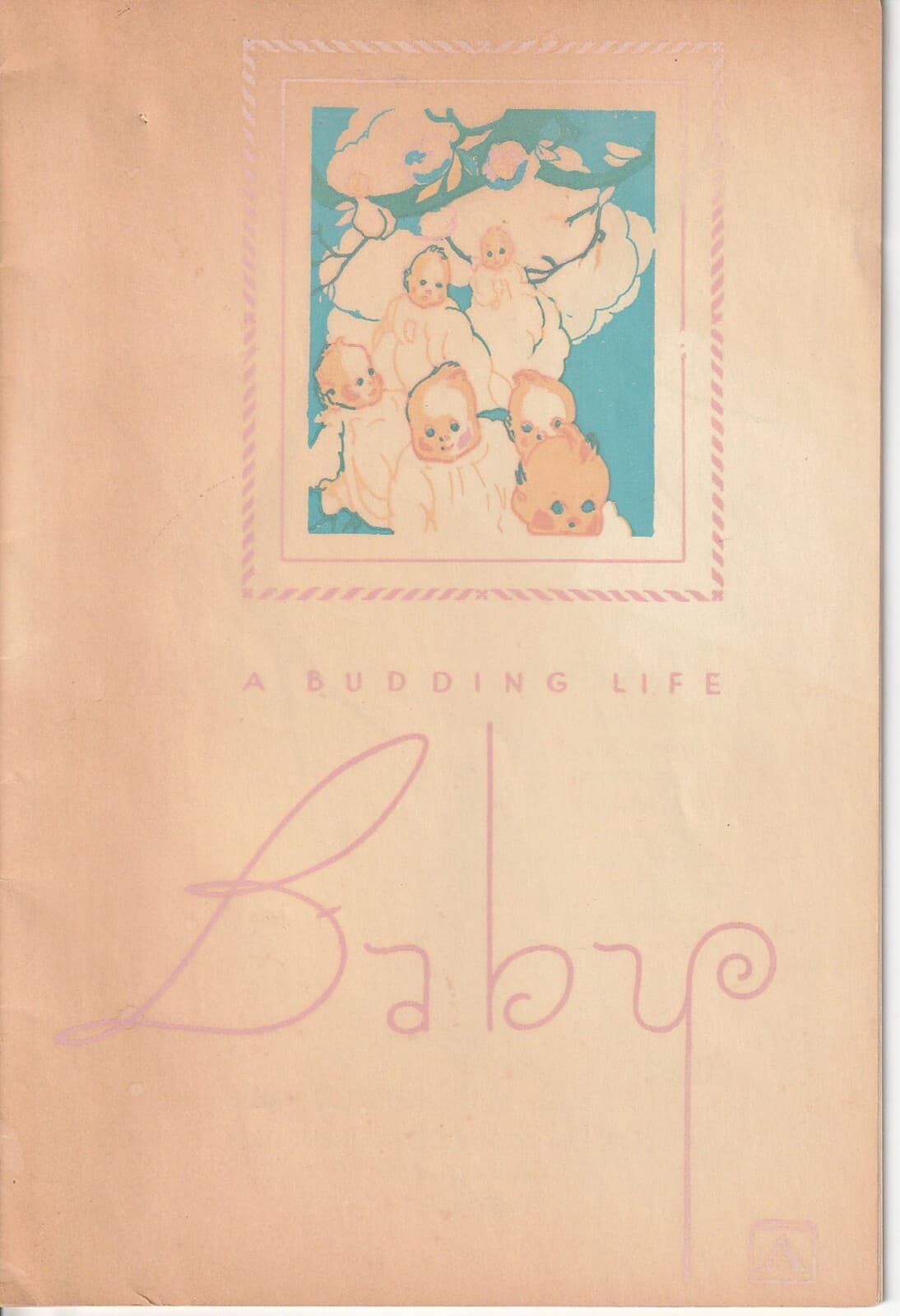 vintage Budding Life Baby album memory book Natl Life and Accident Insurance