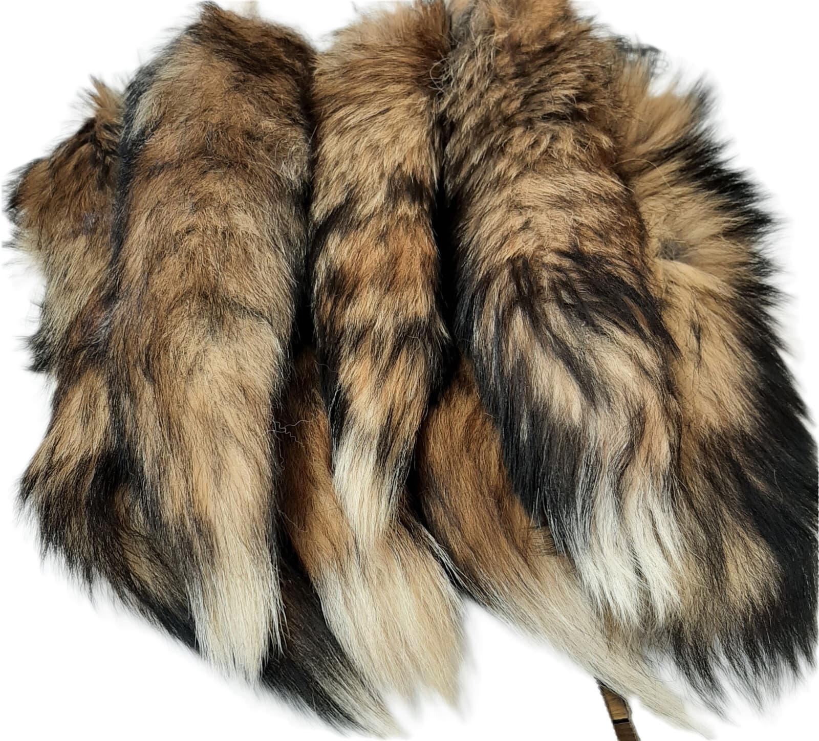 Red Fox Tail, 13-17" Tanned