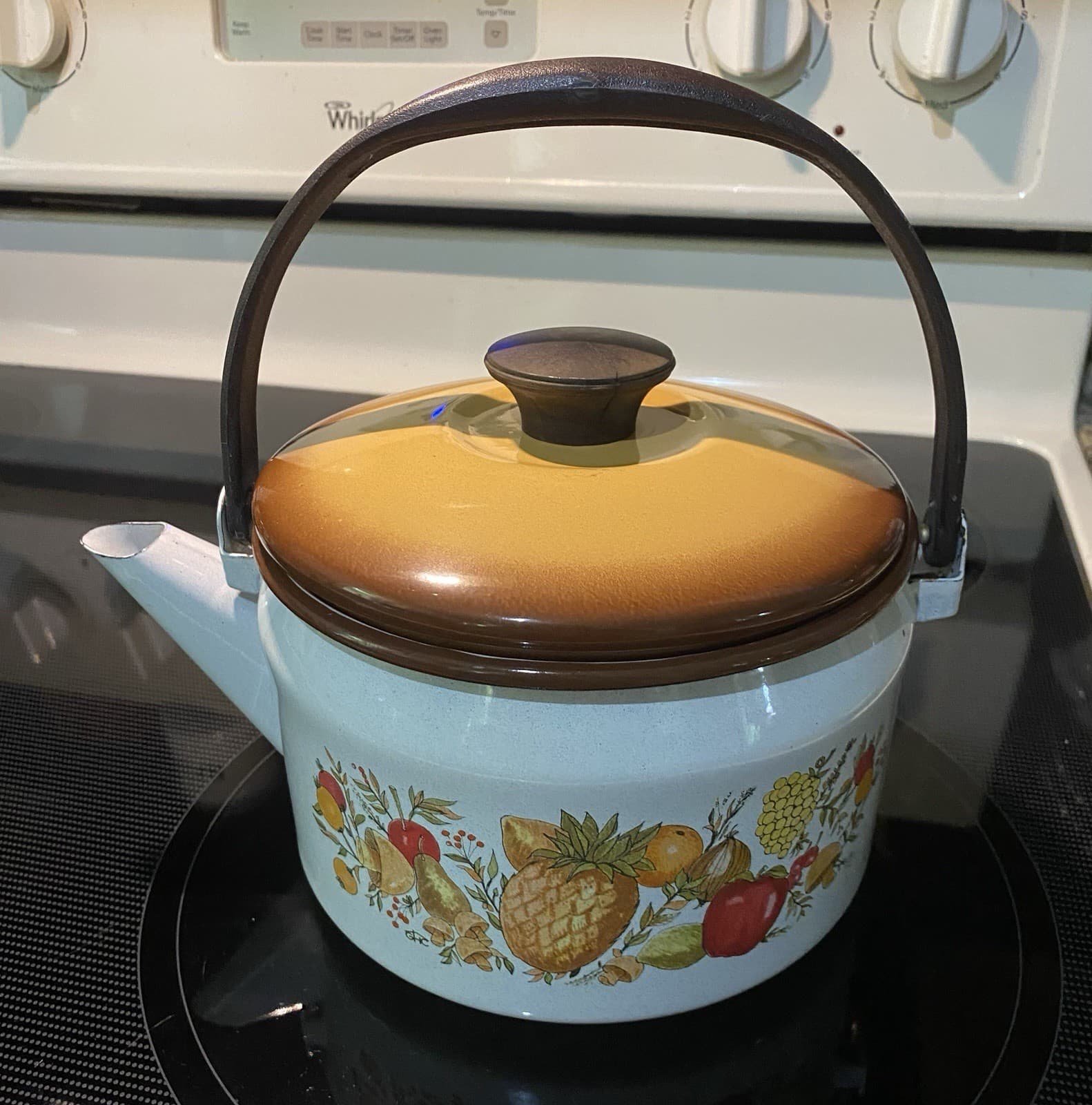 1970’s Vintage Enamel Tea Kettle w/ Lid & Fruits & Mushrooms Pattern By Sears