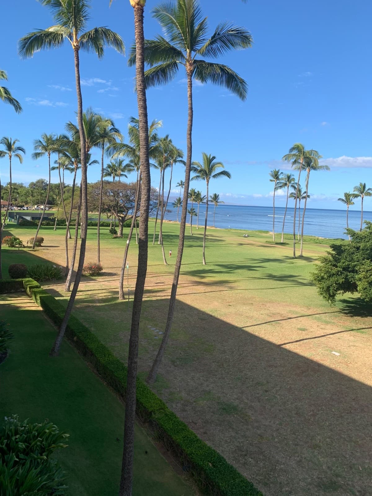 Maui Hawaii timeshare for sale