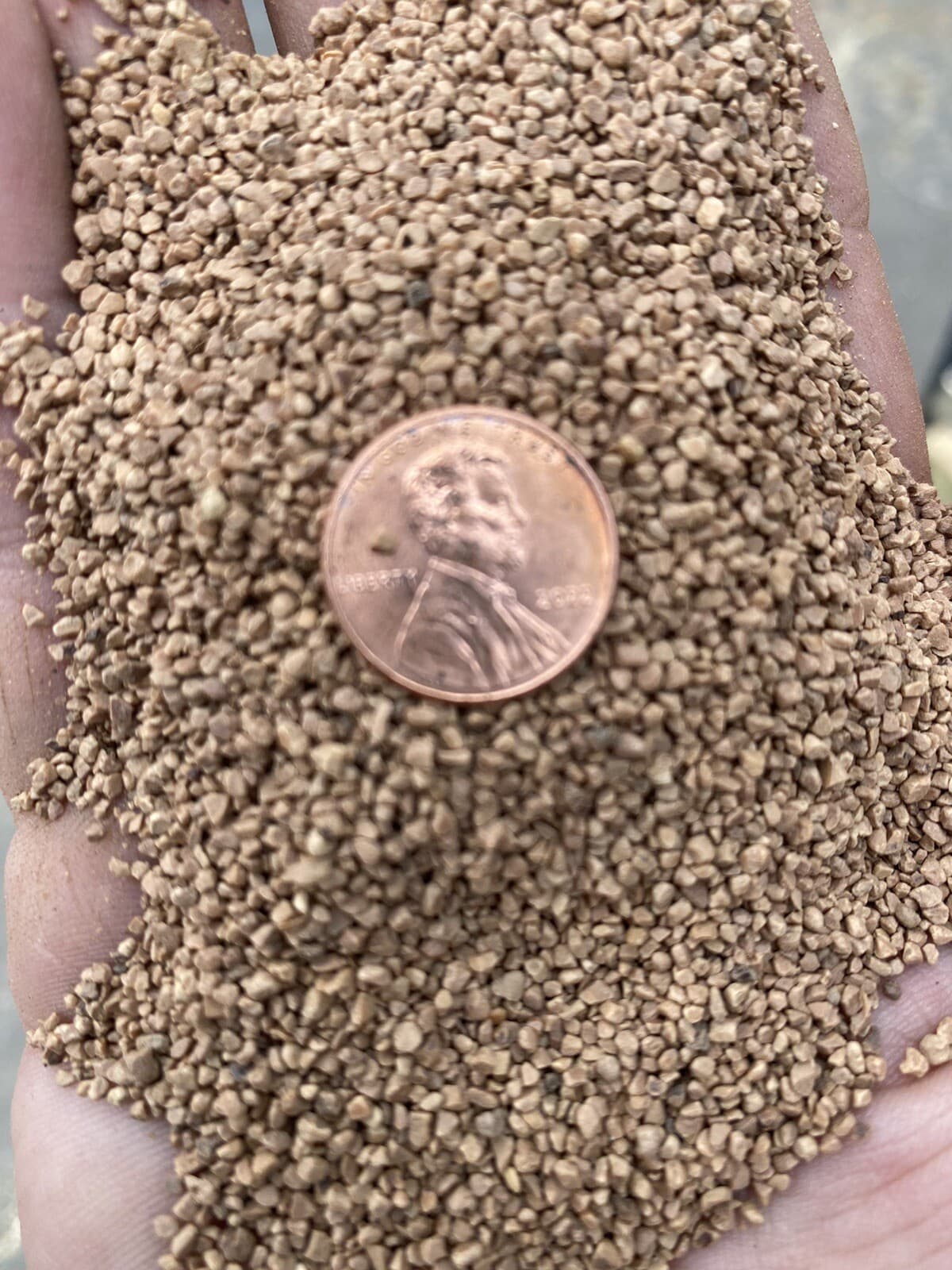 5lb Black Walnut Shell Tumbler Media 12/20Course Soft Grain Untreated