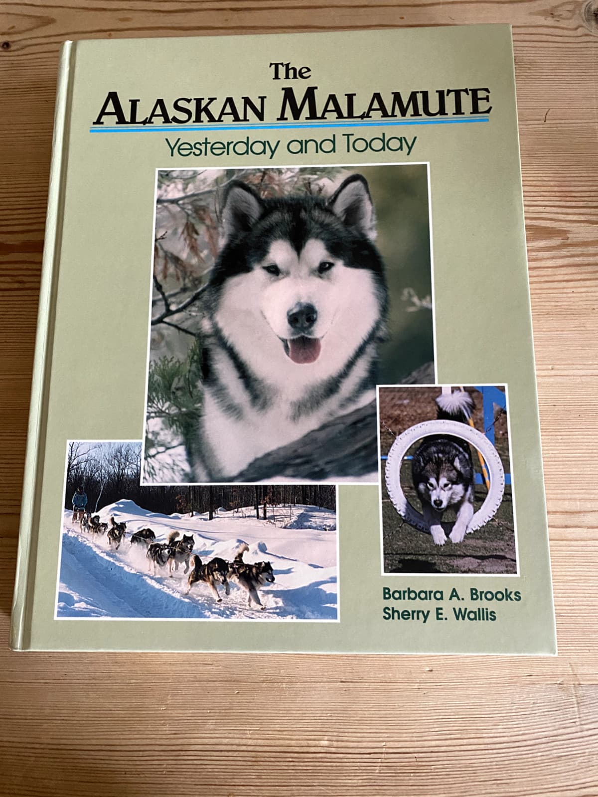 RARE ALASKAN MALAMUTE DOG BOOK BY BROOKS & WALLIS 1ST 1998 "YESTERDAY & TODAY"