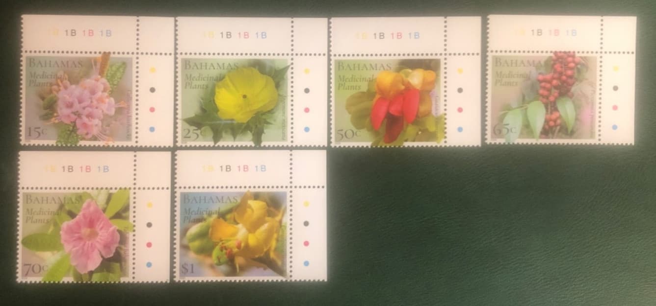 Bahamas 2020 Medicinal Plants