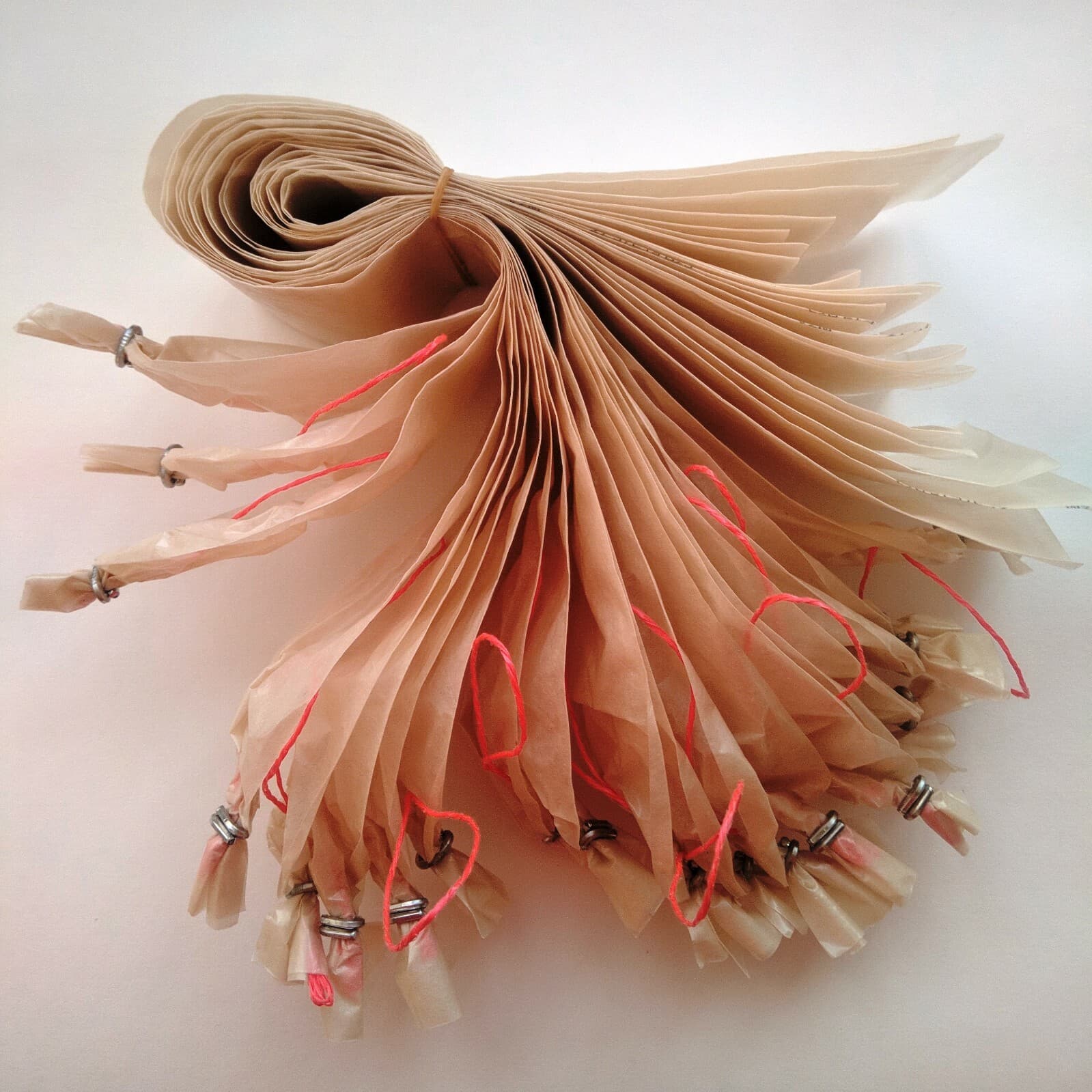 25 cnt Sausage Casing 2.2 x 20 Inch for Summer Sausage, Clear, Clipped with Loop