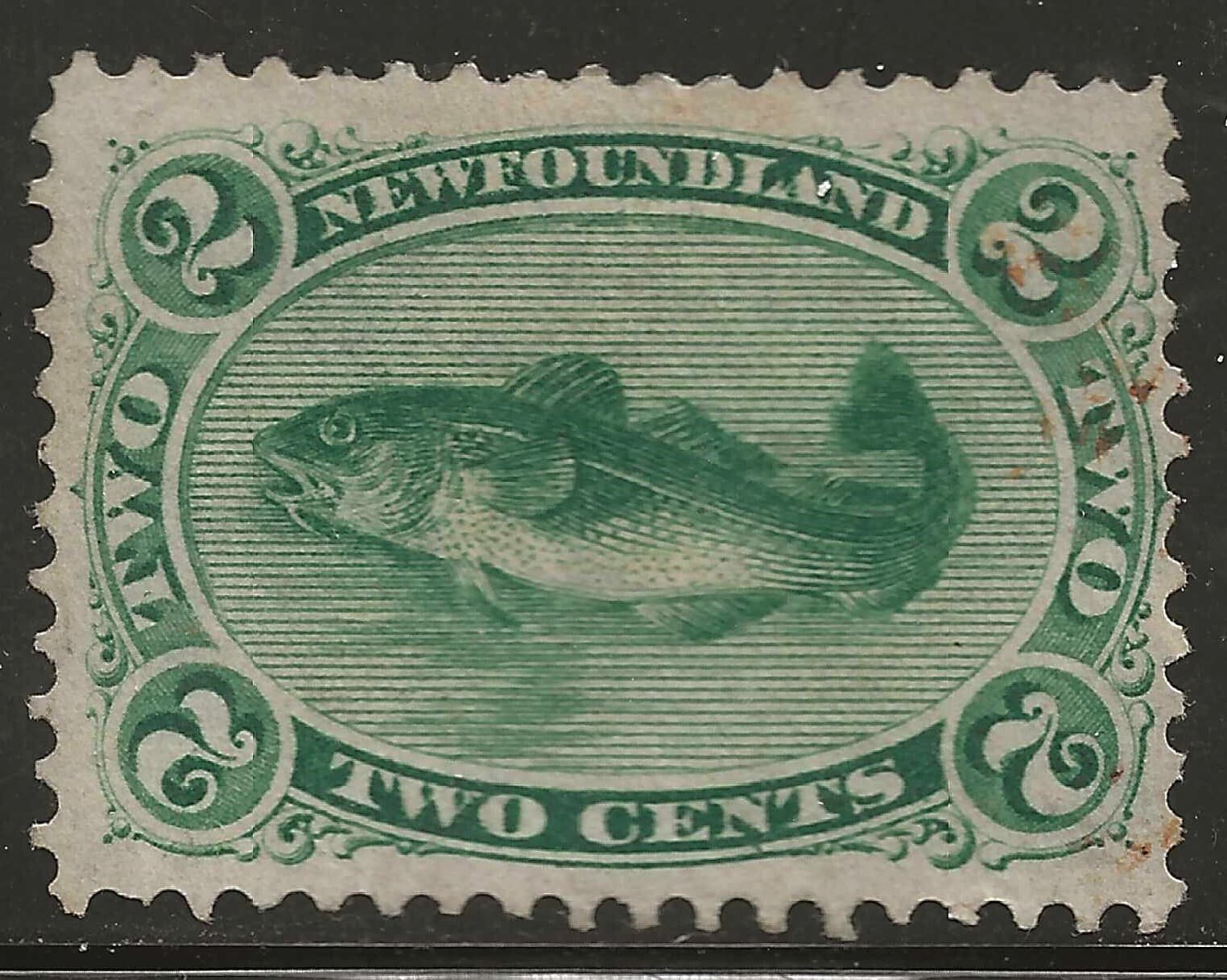 NEWFOUNDLAND #24 Unused - CODFISH